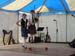 TomMulvehill_3